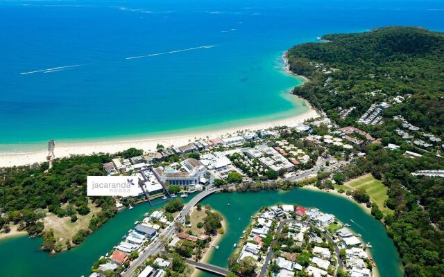 Jacaranda Noosa