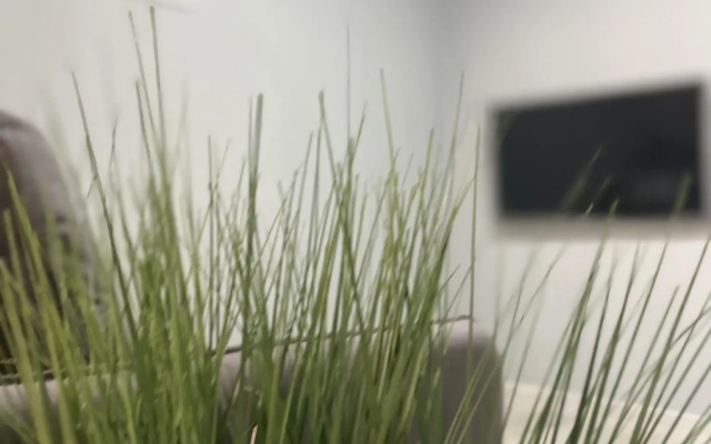 Апартаменты Холидей Хаус на улице Мирная