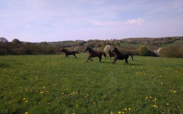 Haras De La Croix D'argent