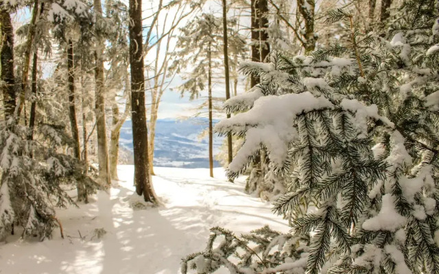 Canaan Valley Resort State Park