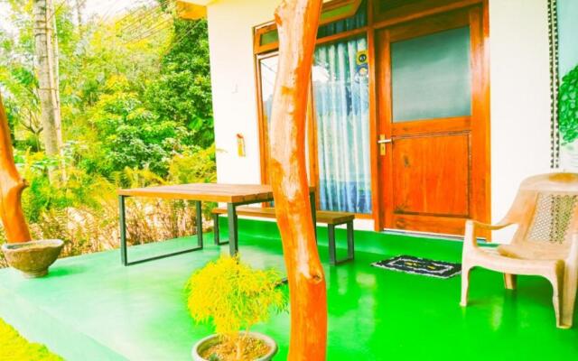 Every view homestay