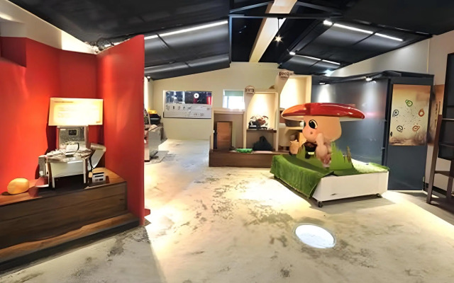 Taiwan Reishi Expert Bed and Breakfast