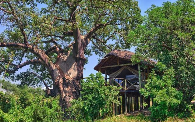 Tarangire River Camp, Mbali Mbali Lodges and Camps