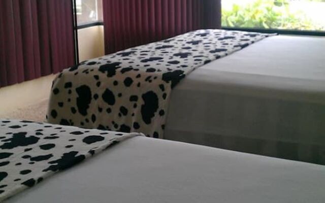 Golden Mar Hostal