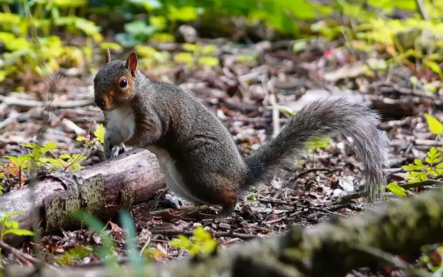 Linwater Caravan Park