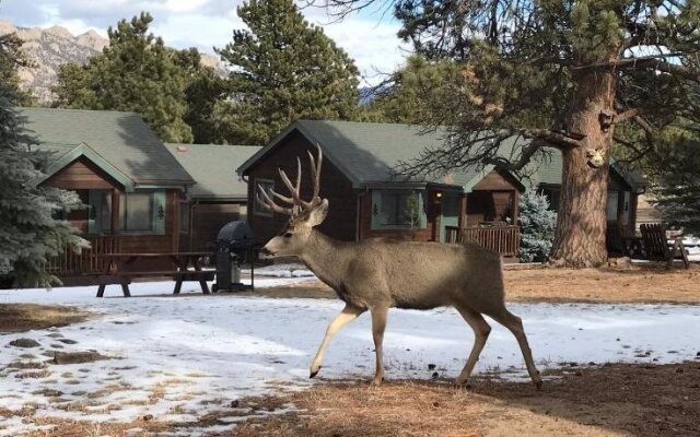 Mountain Shadows Resort