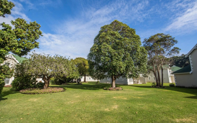 The Paper Fig House river club 30