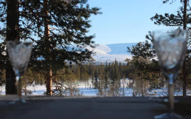 Сияние Севера