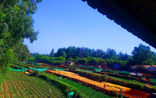 Strawberry Homes Mahabaleshwar