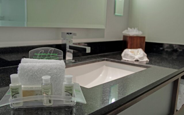 Holiday Inn San Jose Escazu