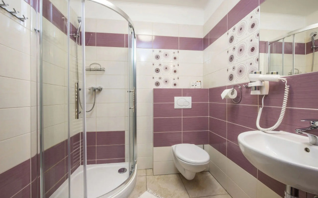 Pension Vila Mery