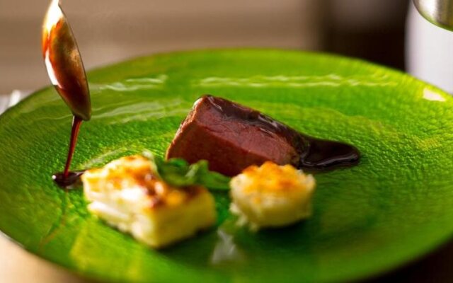 Caro Foresta Miurakaigan ARENA