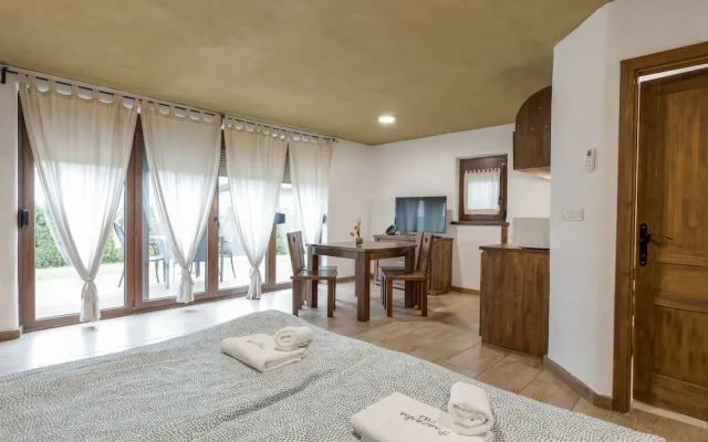 Pannonian Studio With Terrace