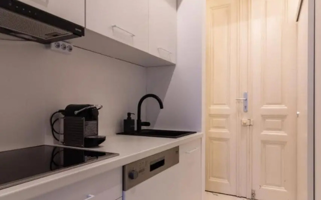 Central Apartment