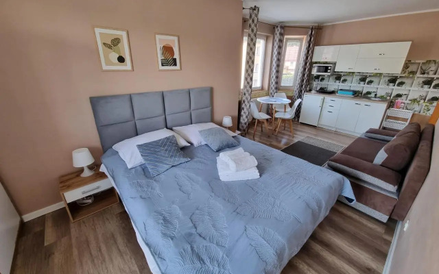 Willa Zachodni Brzeg