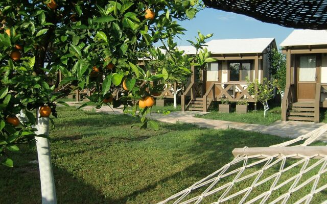Sedir Resort Hotel Rooms, Bungalows and Apartments