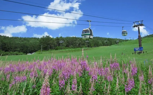 Tateshina Wanwan Paradise Cottage