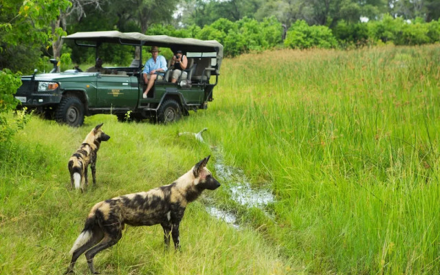 Selinda Camp