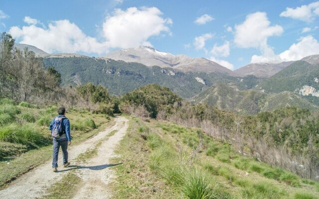 Awesome Apartment in Falerna With 2 Bedrooms