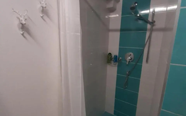 Zelený Jelen - horský apartmán