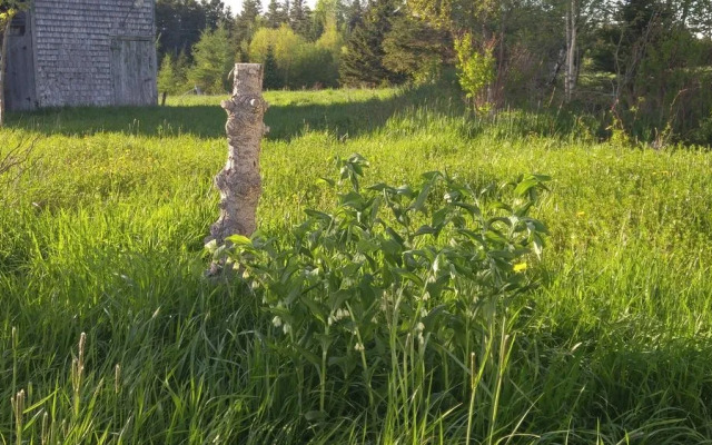 Windsbreath Celebrations and Retreats