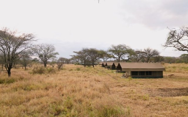 Rongai Eleven Serengeti Camp