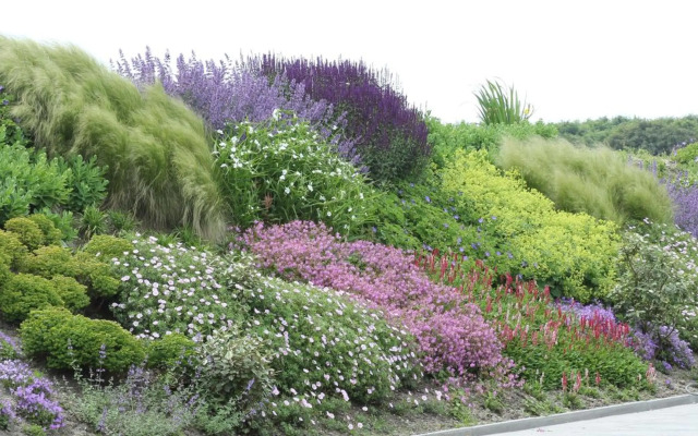 Duinvilla Aan de Zee B&B