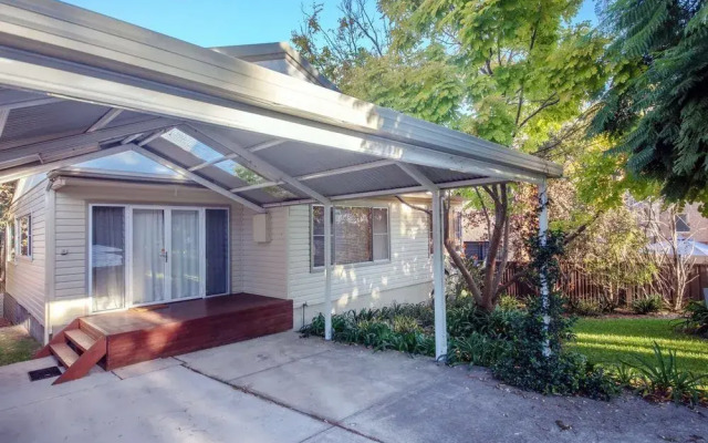 Christmas Bush Avenue No.11