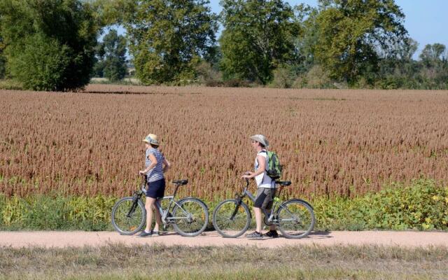 Tournesol
