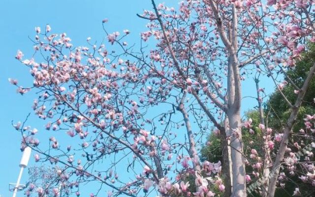 Chenfeng Yipin Hotel