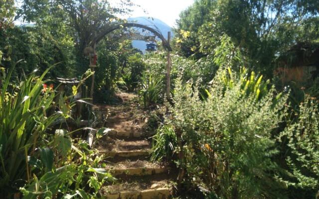 Sitio Alecrim Casa de Cura e Hospedagem