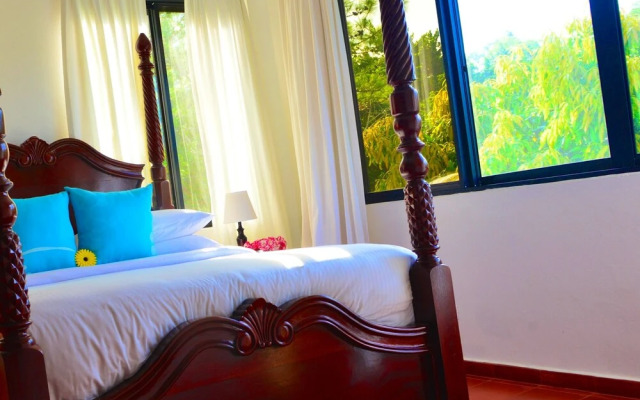 Villa Celeste Estate