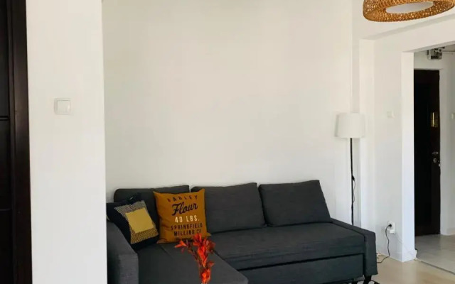 Cozy Studio - Floreasca/​Dorobanti - Bucharest