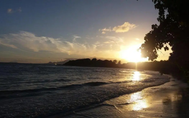 Residence Palm Beach