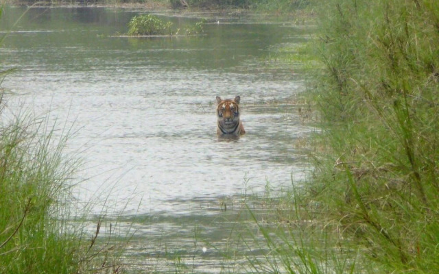 Bardia wild planet