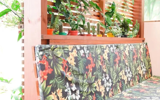 T3 Origin - in the Most Beautiful South Beach