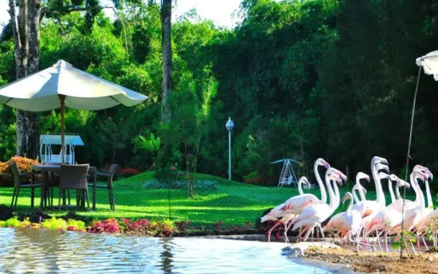 The Hill Hotel & Resort Sibolangit