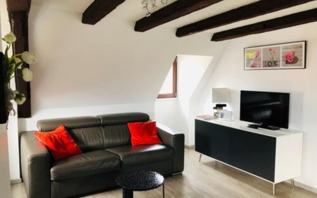 A L'ill - Apparts & Studios Strasbourg Hyper Centre