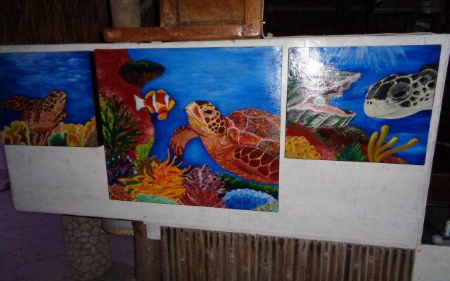 Sea Turtle House