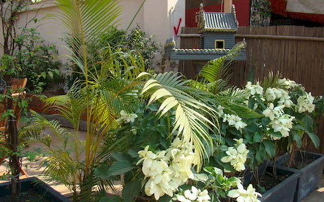 The Golden Square Villa
