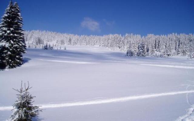 Chalet-Hôtel du Borderan