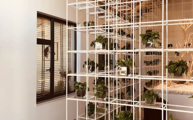 Living And Designing Homestay