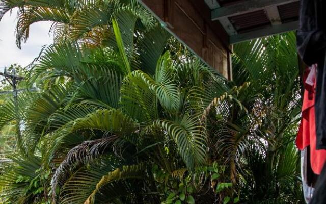 Twin Fin Hostels