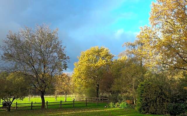 Het Geheim Van Merselo