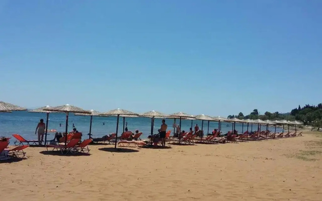 Family Friendly Apartments