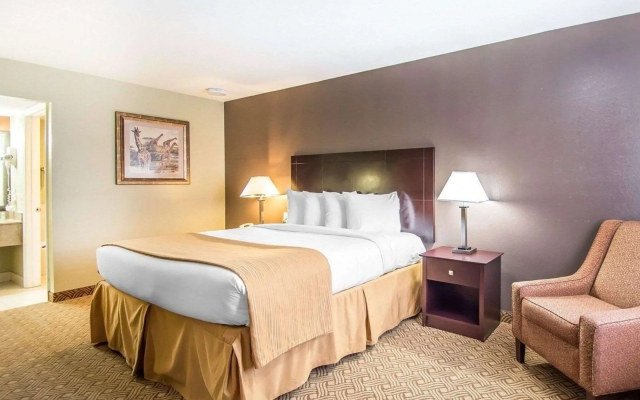 Quality Inn & Suites By the Parks