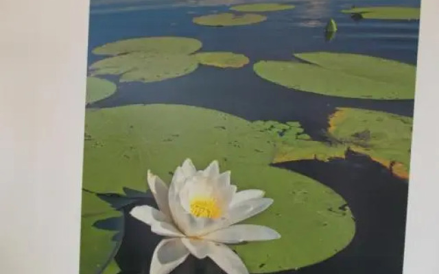 Szoke Tisza Vendeghaz