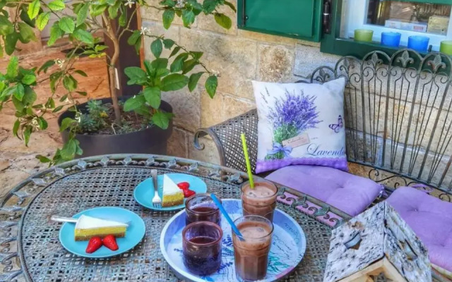 Holiday Home Dvori Dida Mile