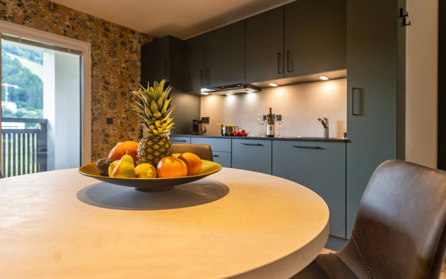 Tevini Alpine Apartments - Schmittenblick
