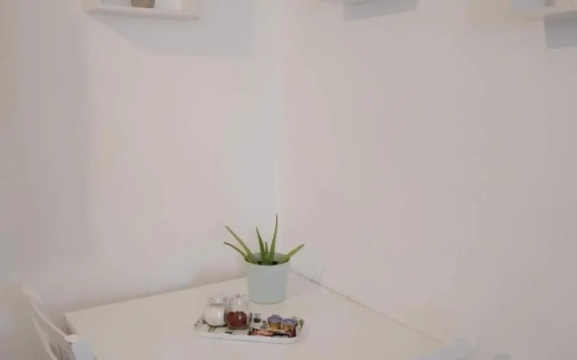 The Garden Studio